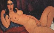 Amedeo Modigliani Reclining Nude with Loose Hair (mk38) Germany oil painting artist